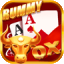 rummy new all